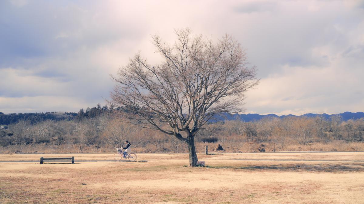辰ノ口親水公園２