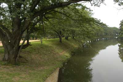 水辺プラザ近くの小貝川土手