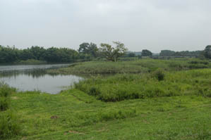 小貝川河川敷