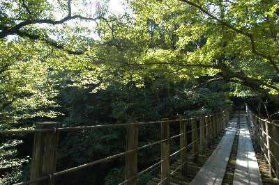 花貫渓谷 汐見滝吊り橋