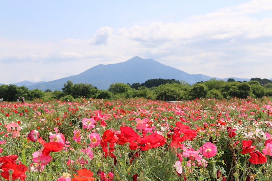 小貝川ふれあい公園