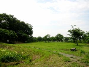 天神山公園