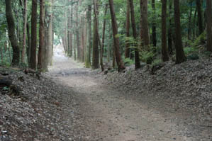元三大師安楽寺 参道