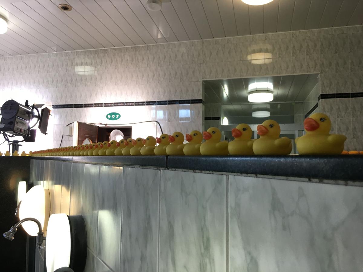 頭にきてもアホとは戦うな！01