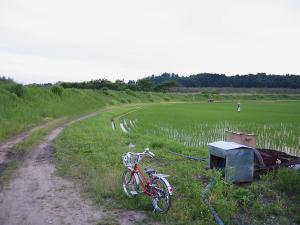 小貫地区堤防・水田