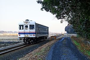中根の田園の道