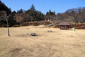 古河三和ふるさとの森
