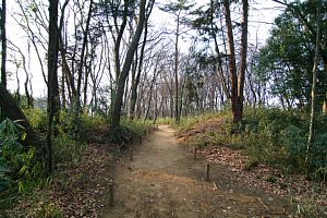 古河公方公園