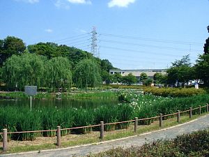 四季の里公園