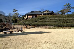 奥久慈茶の里公園