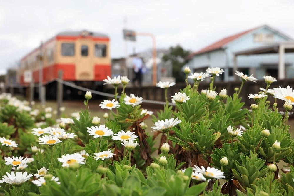 ひたちなか海浜鉄道 阿字ヶ浦駅