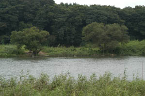 小貝川