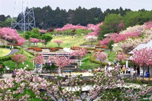 静峰ふるさと公園