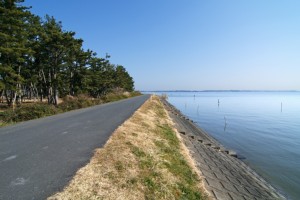 和田岬