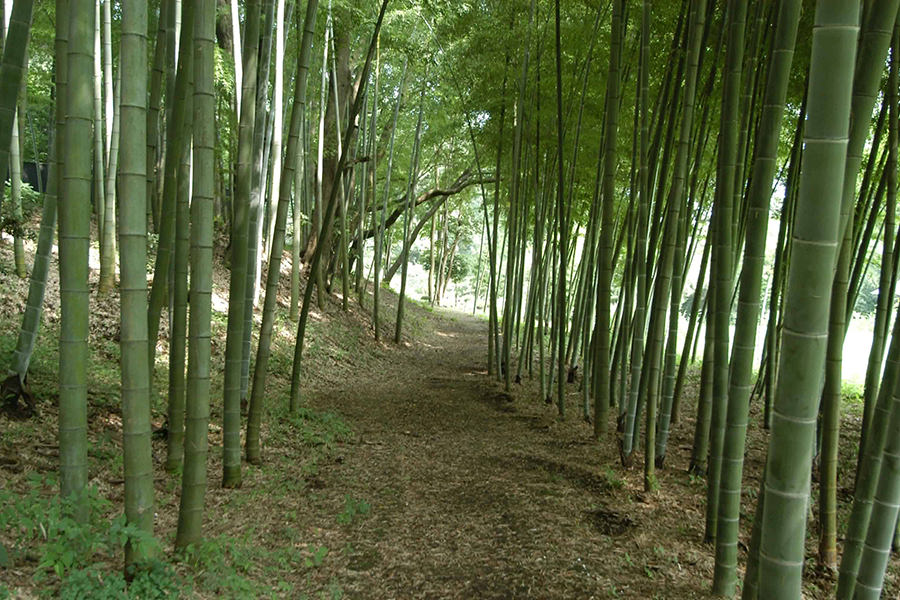 坂野家住宅