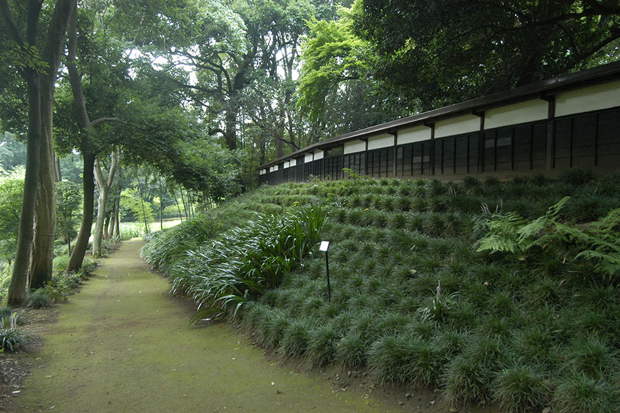 坂野家住宅
