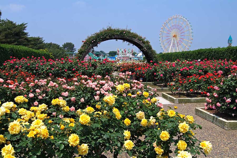 国営ひたち海浜公園 水のステージ