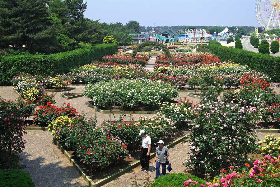 国営ひたち海浜公園 水のステージ