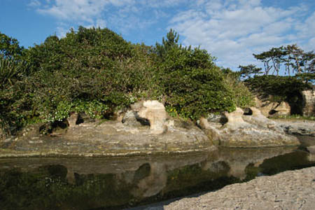 鵜の島