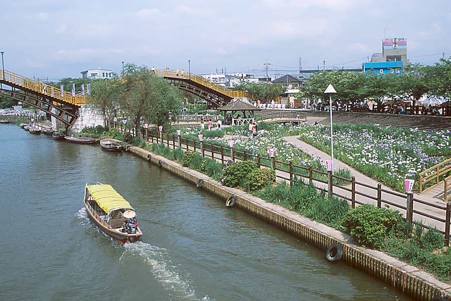 前川あやめ園