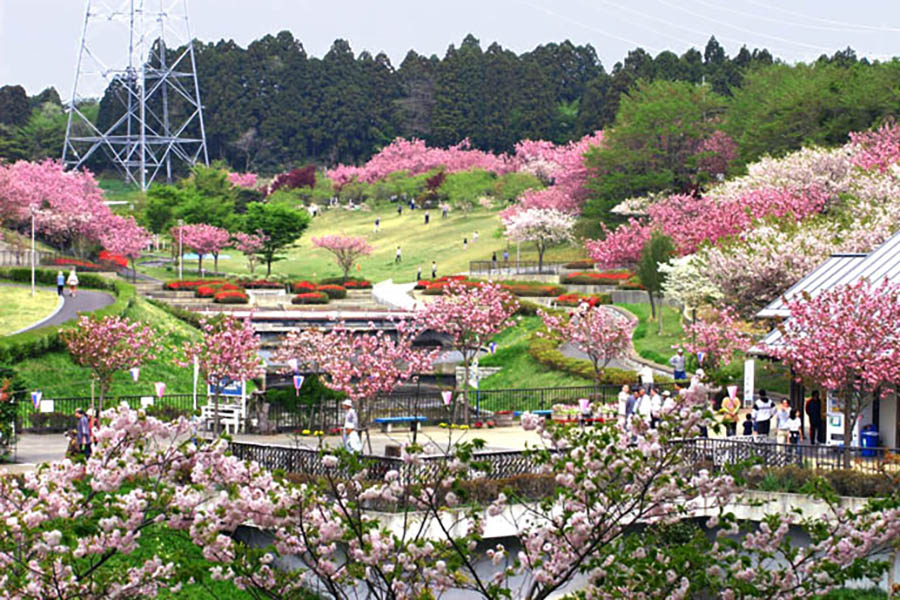 静峰ふるさと公園