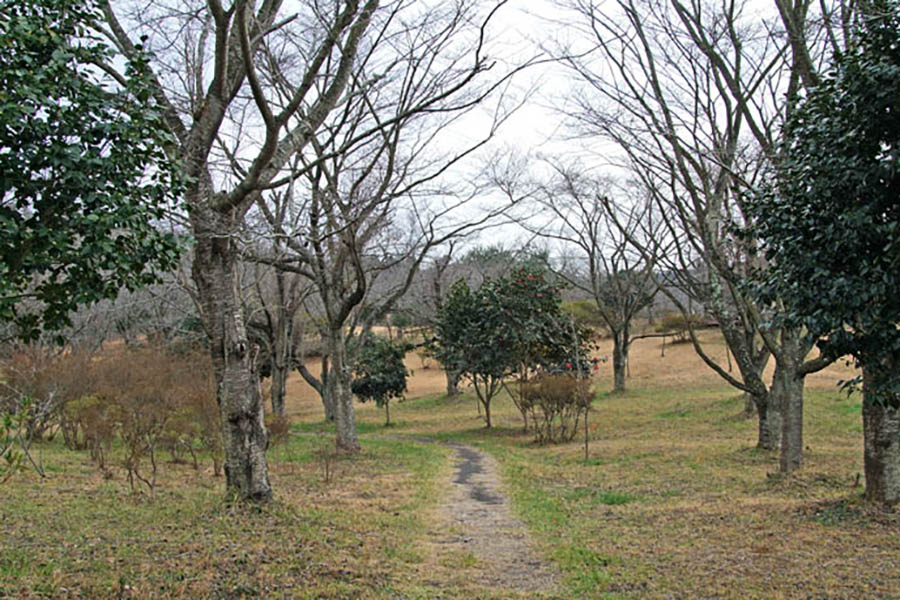 静峰ふるさと公園