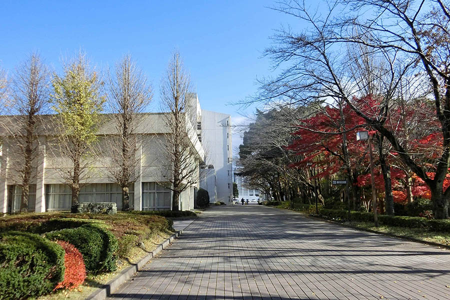 流通経済大学