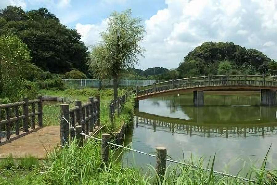 三次親水公園