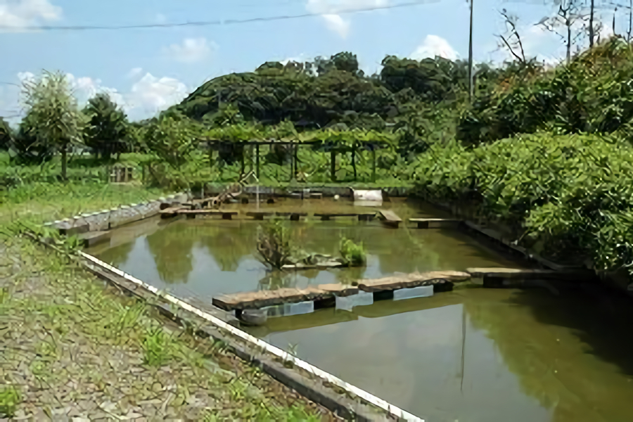 三次親水公園