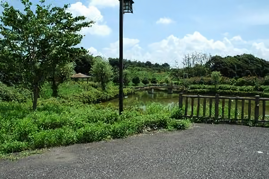 三次親水公園