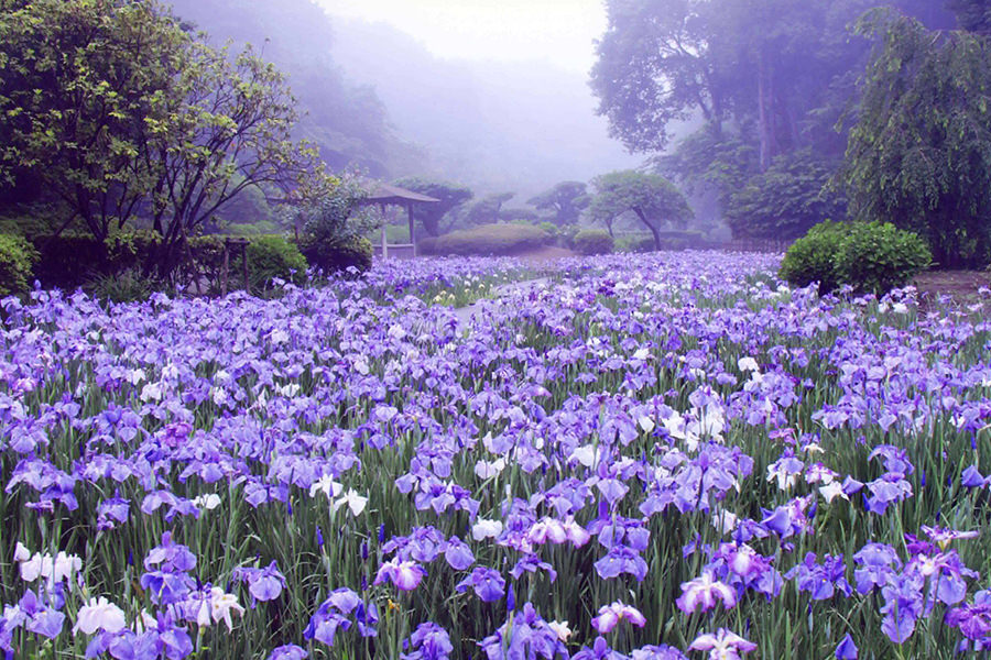 西山の里・桃源