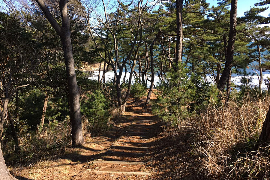 小貝ヶ浜緑地公園