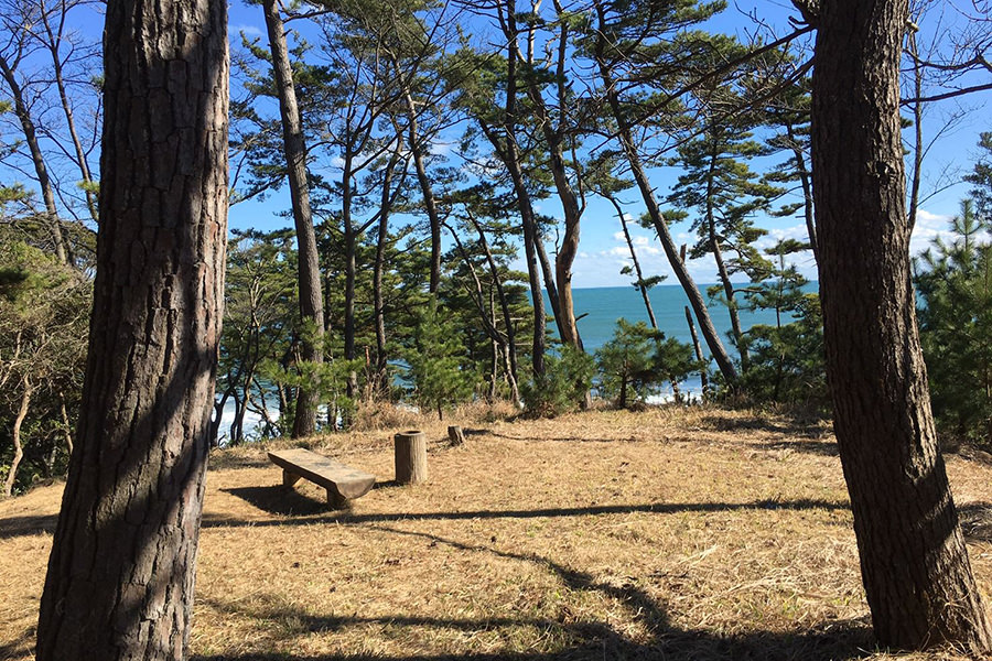小貝ヶ浜緑地公園