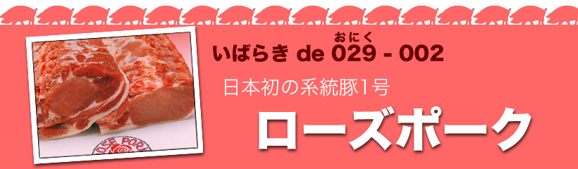 日本初の系統豚1号・ローズポーク