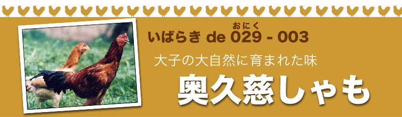 大子の大自然に育まれた味・奥久慈しゃも