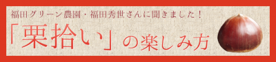 栗拾いの楽しみ方バナー