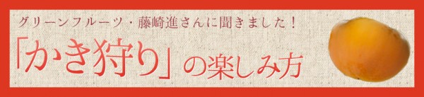 かき狩りの楽しみ方バナー