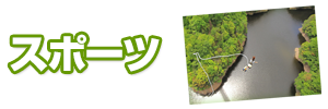 スポーツいばらき
