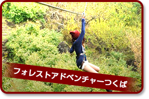 フォレストアドベンチャーつくば