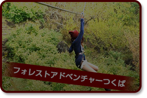 フォレストアドベンチャーつくばon