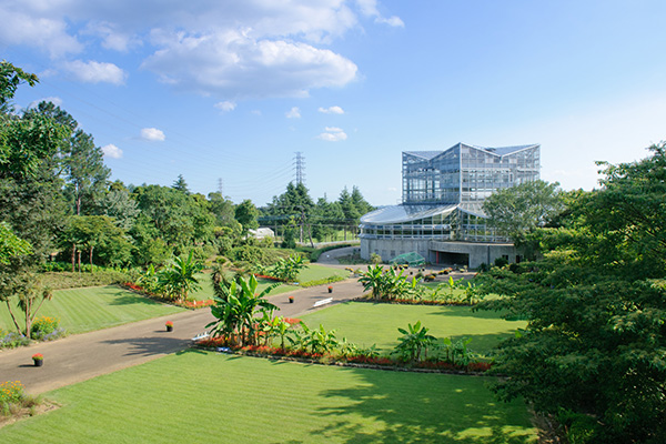 茨城県植物園