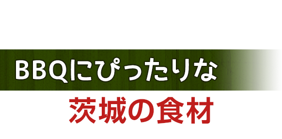 バーベキューにぴったりな茨城の食材