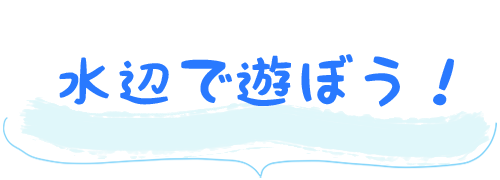 水辺で遊ぼう