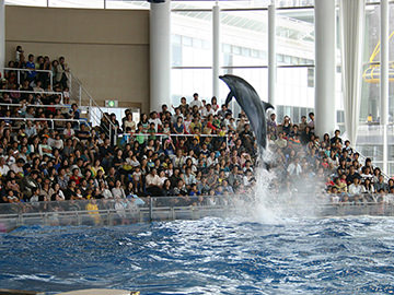 アクアワールド茨城県大洗水族館