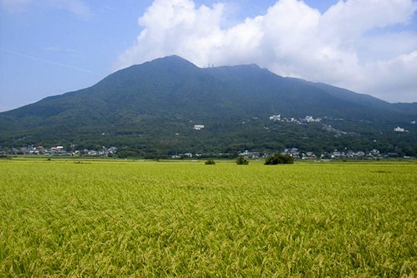 楽しみ方 その4 筑波山1