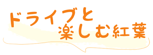 ドライブと楽しむ紅葉