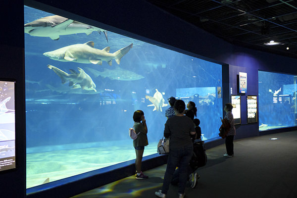 アクアワールド茨城県大洗水族館