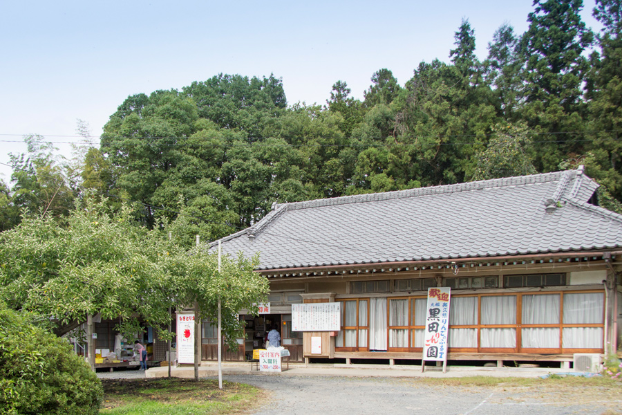 黒田りんご園