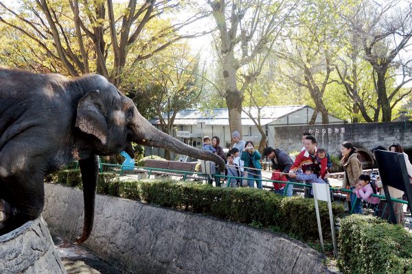 かみね動物園