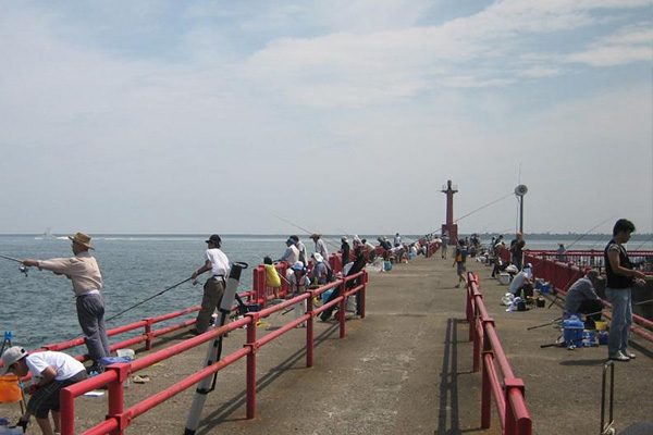鹿島港の魚釣園
